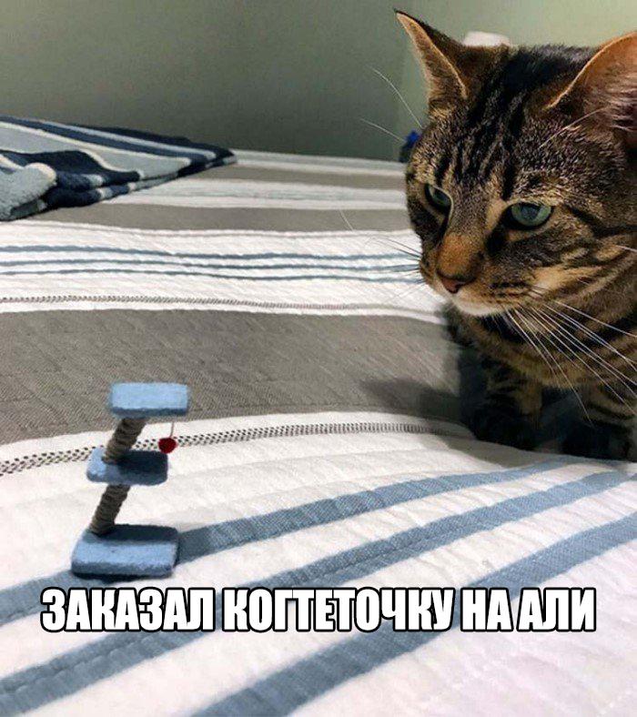 U3jGdypAS98.jpg