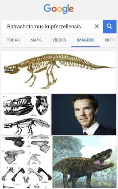 WQm1ut6UYXk.jpg