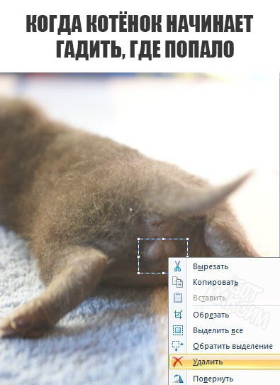 HGK2WzijWCM.jpg