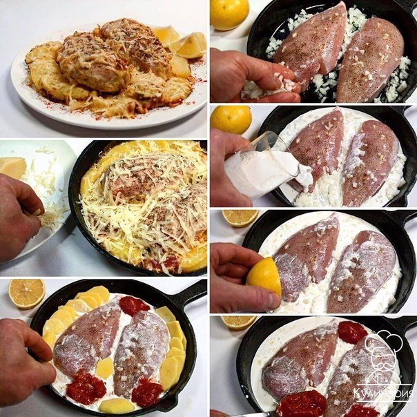 Куриные грудки, запеченные в сливках под сыром