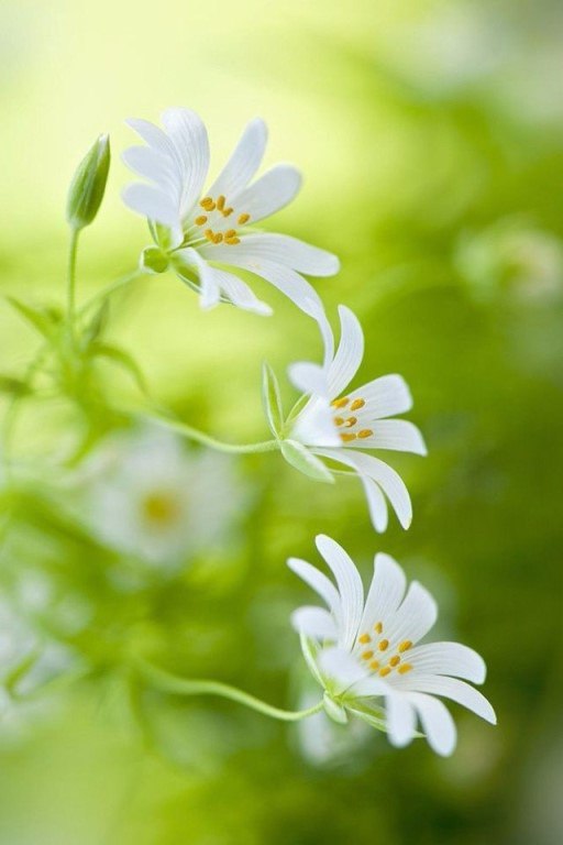 https://pp.userapi.com/c7002/v7002005/31bb8/bfLMVog-3JQ.jpg