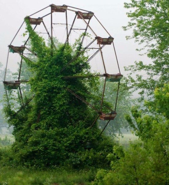 Природа берет своё