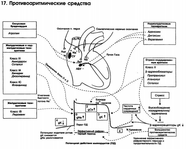 Наглядная фармакология! Схемы! Часть 2!