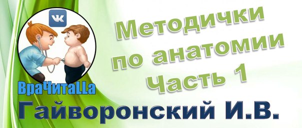  (самообразование врача) 