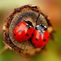 Марина Пашкова | Кривой Рог