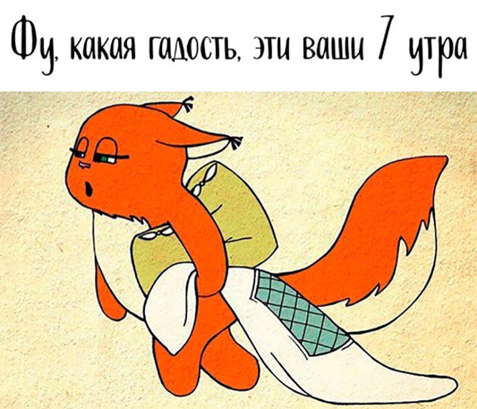 phbkO-lUoTg.jpg