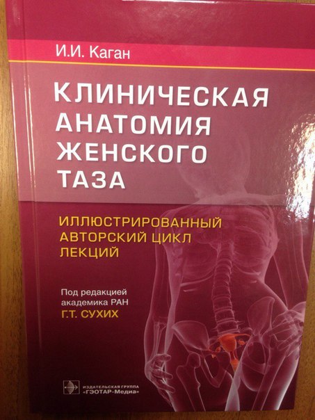  Клиническая анатомия женского таза. Иллюстрированный авторский цикл лекций