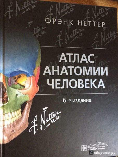 НЕТТЕР ВО ВСЕЙ КРАСЕ!   