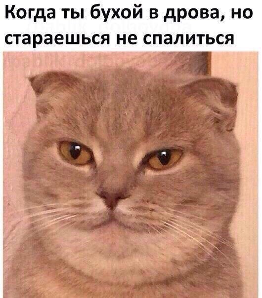 5zRrv7QRNsY.jpg