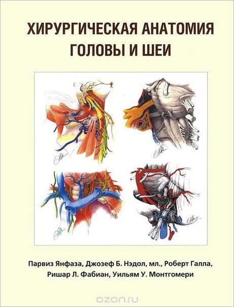  Снова в наличии 