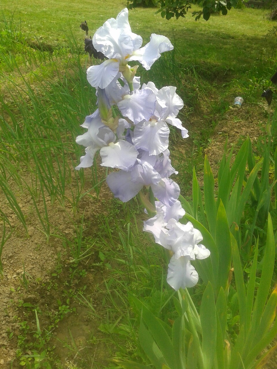 фотография из вКонтакте