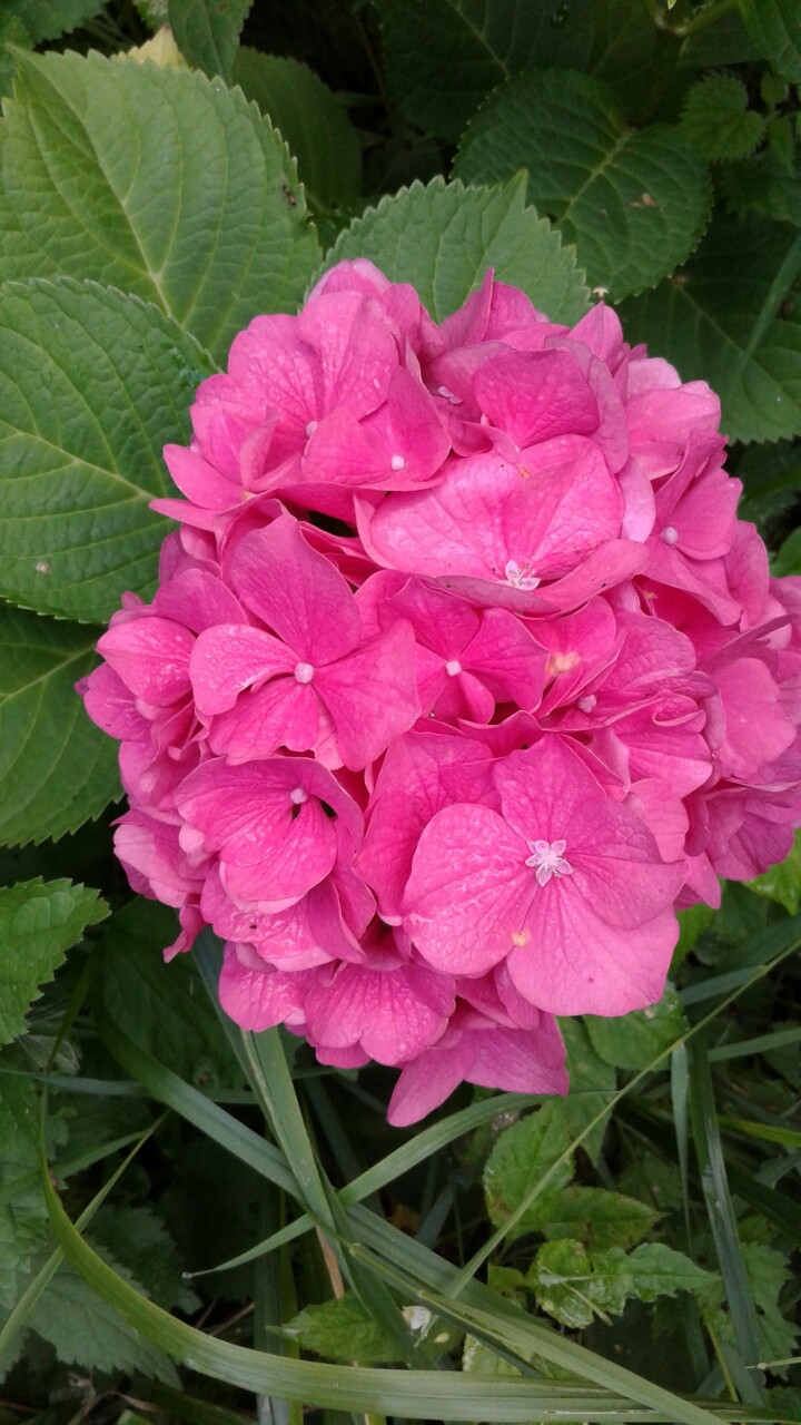 фотография из вКонтакте