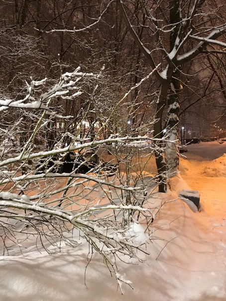 фотография из вКонтакте