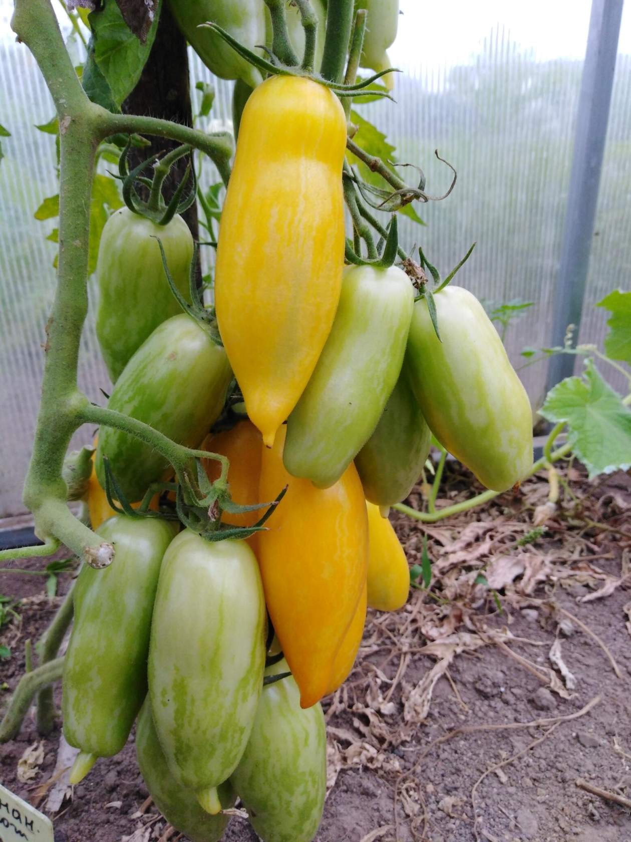 фотография из вКонтакте