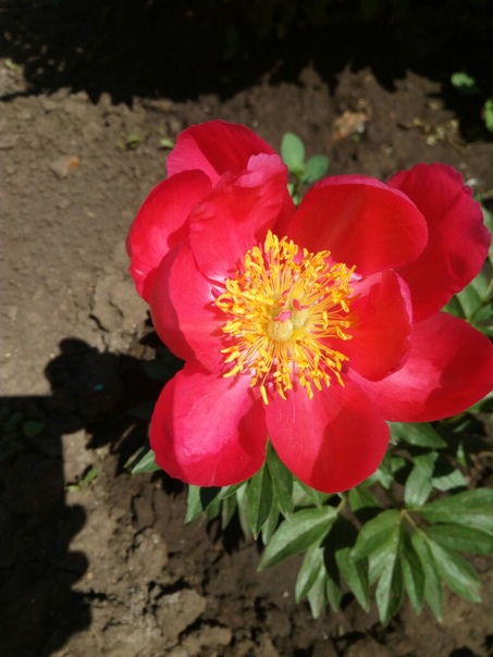 фотография из вКонтакте