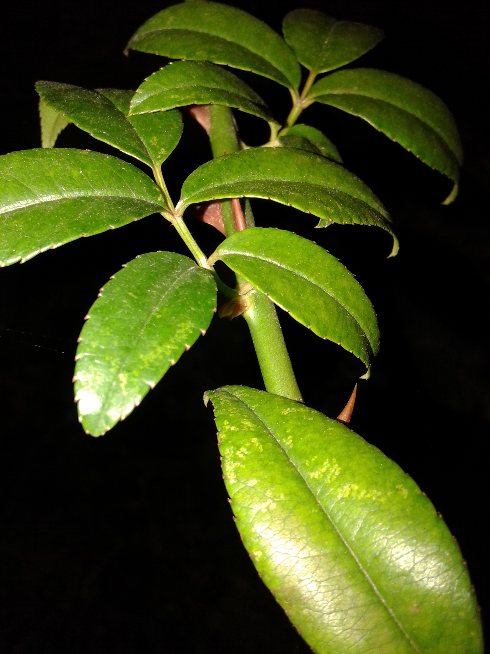 фотография из вКонтакте