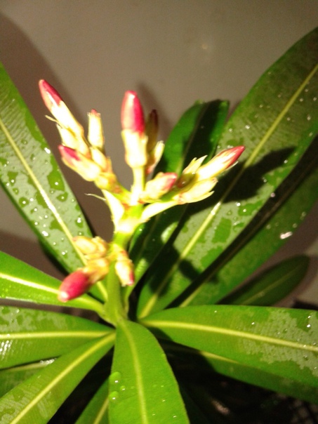 фотография из вКонтакте