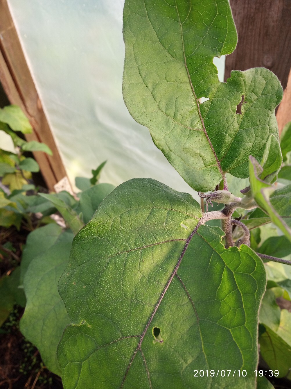 фотография из вКонтакте