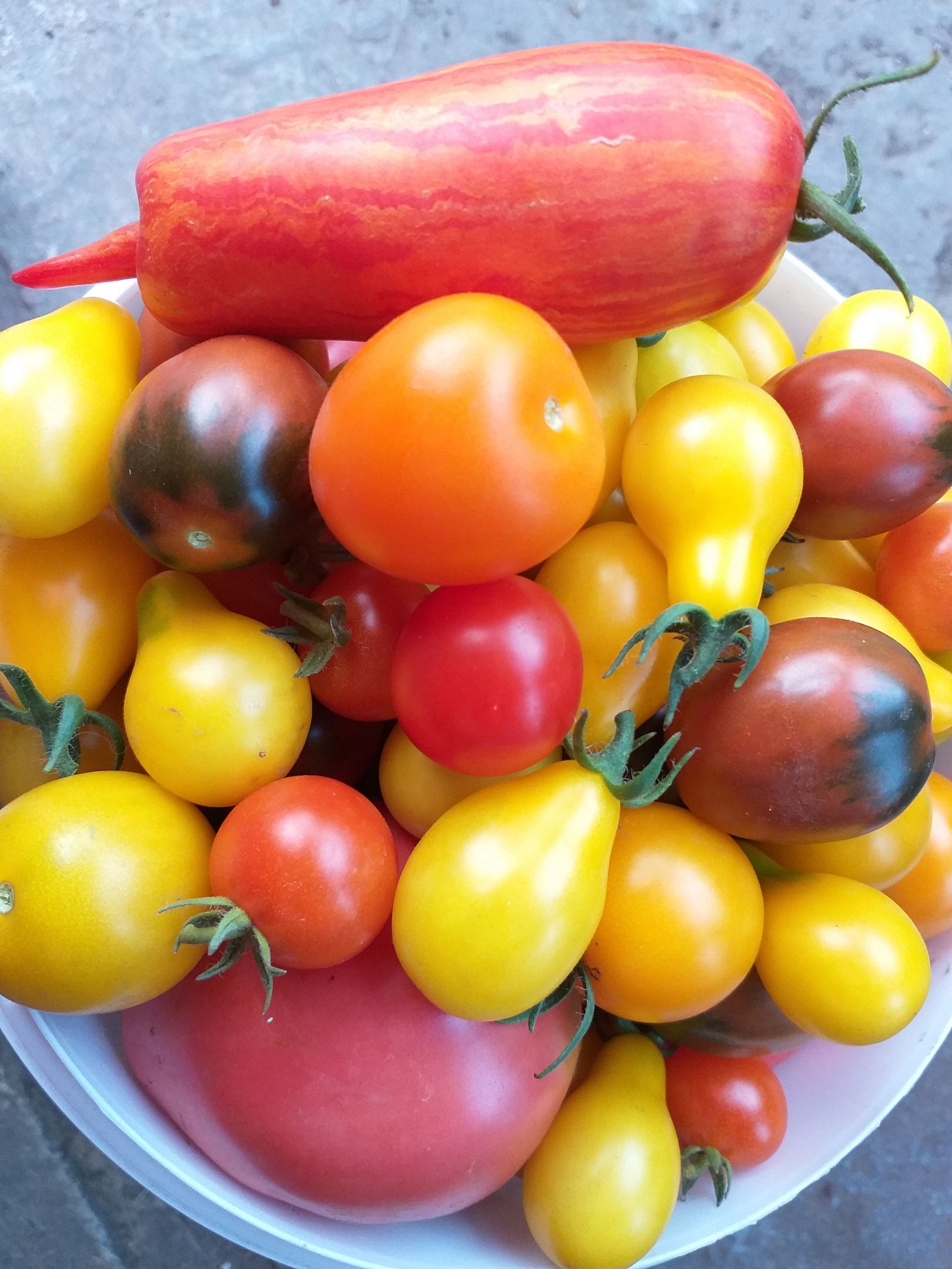 фотография из вКонтакте