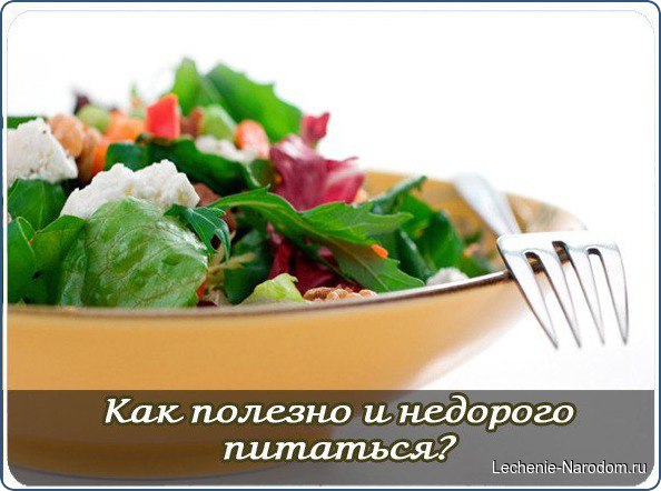 Как полезно и недорого питаться