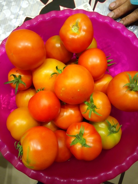 фотография из вКонтакте