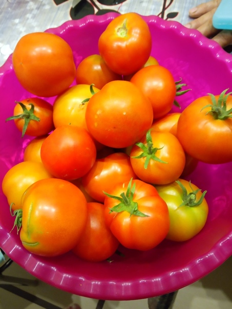 фотография из вКонтакте