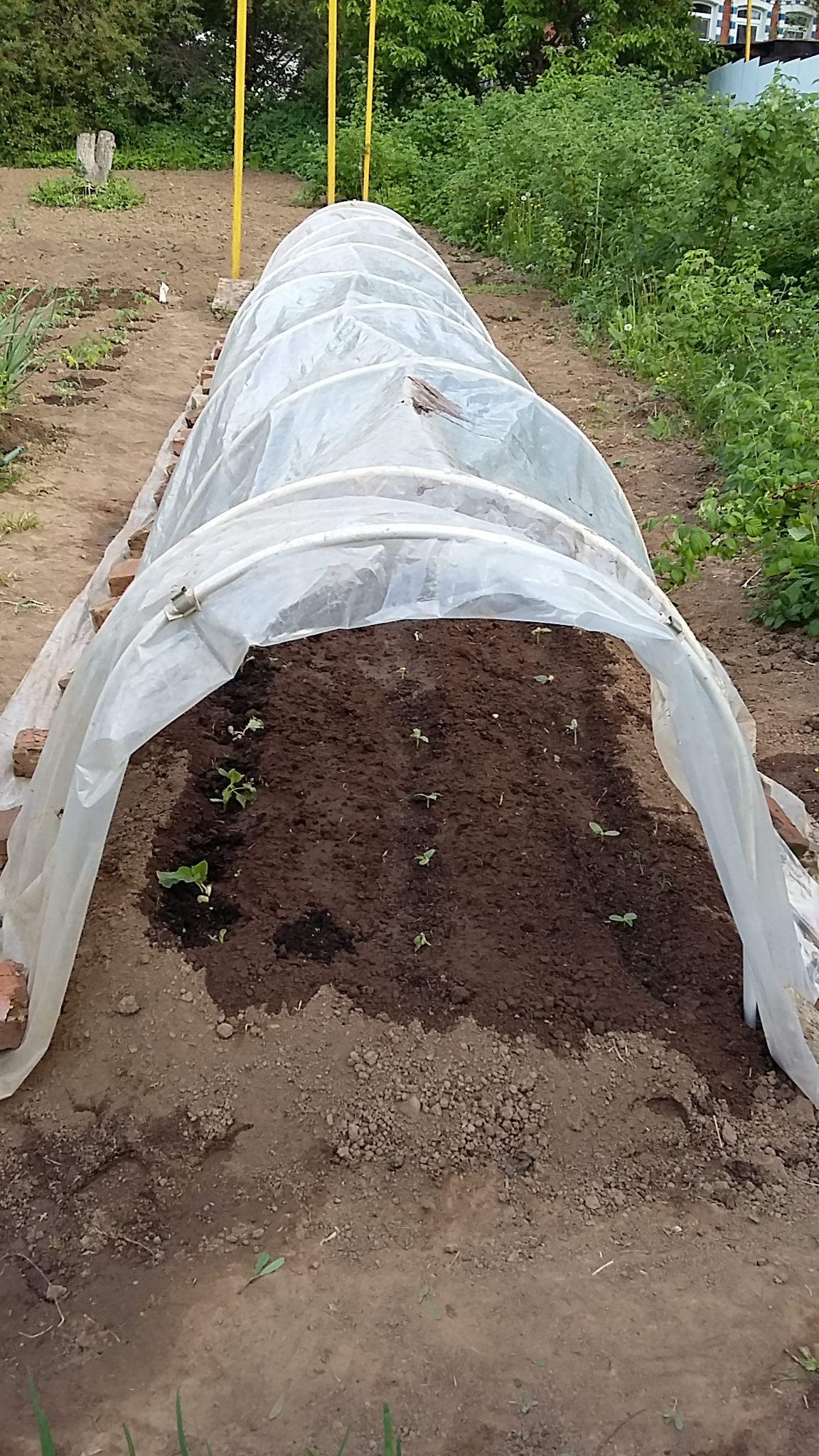 фотография из вКонтакте