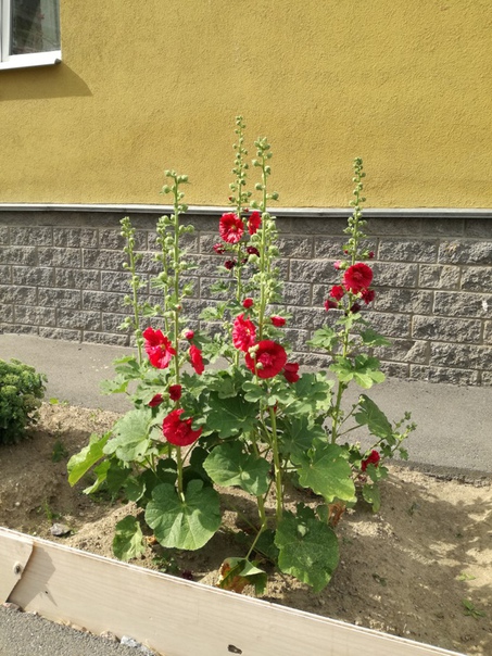 фотография из вКонтакте