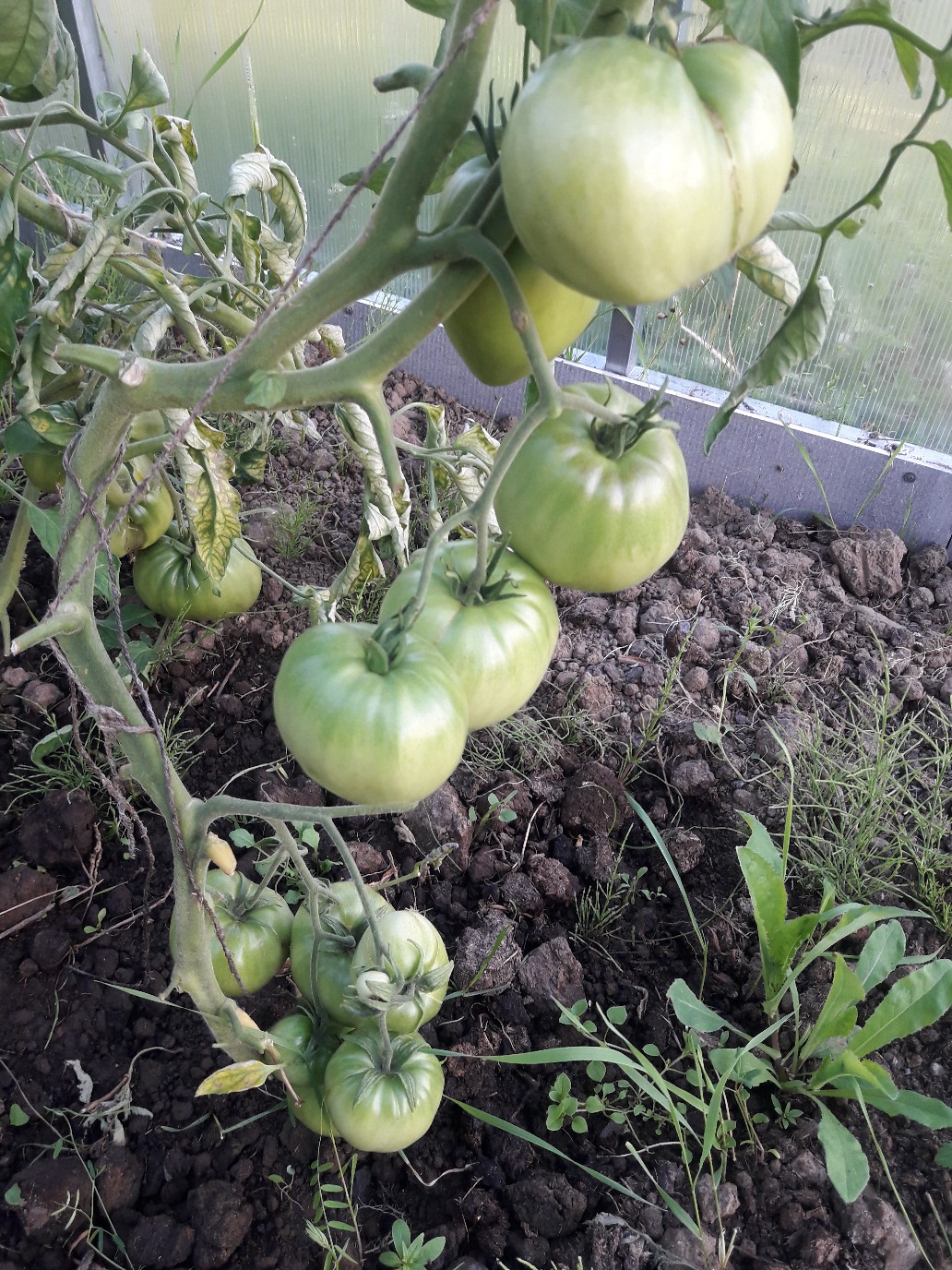 фотография из вКонтакте