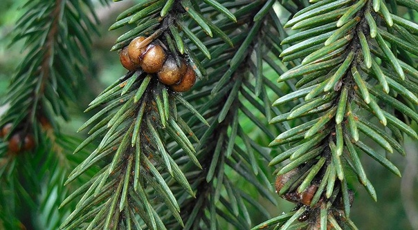 фотография из вКонтакте