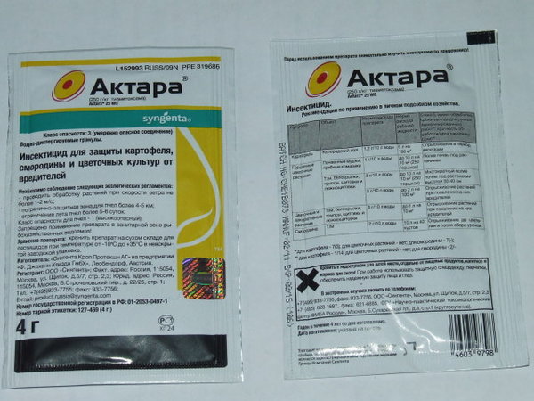 фотография из вКонтакте