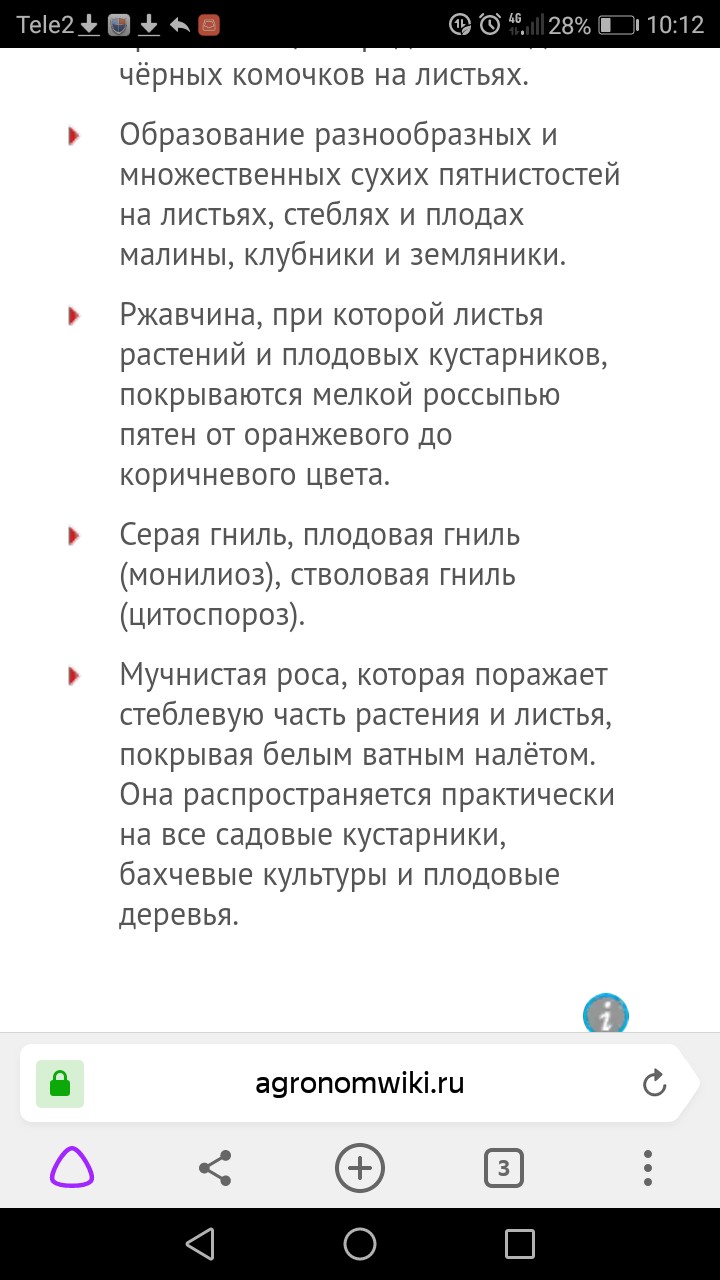 фотография из вКонтакте