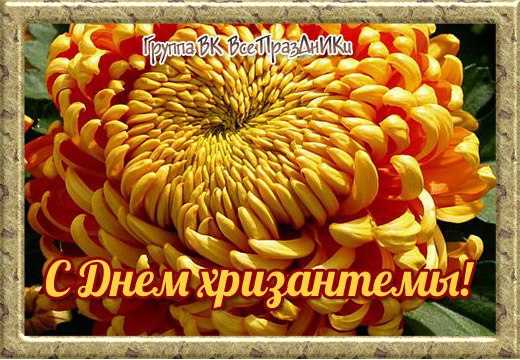 https://pp.userapi.com/c7003/v7003332/24d71/MF8yfbY582k.jpg