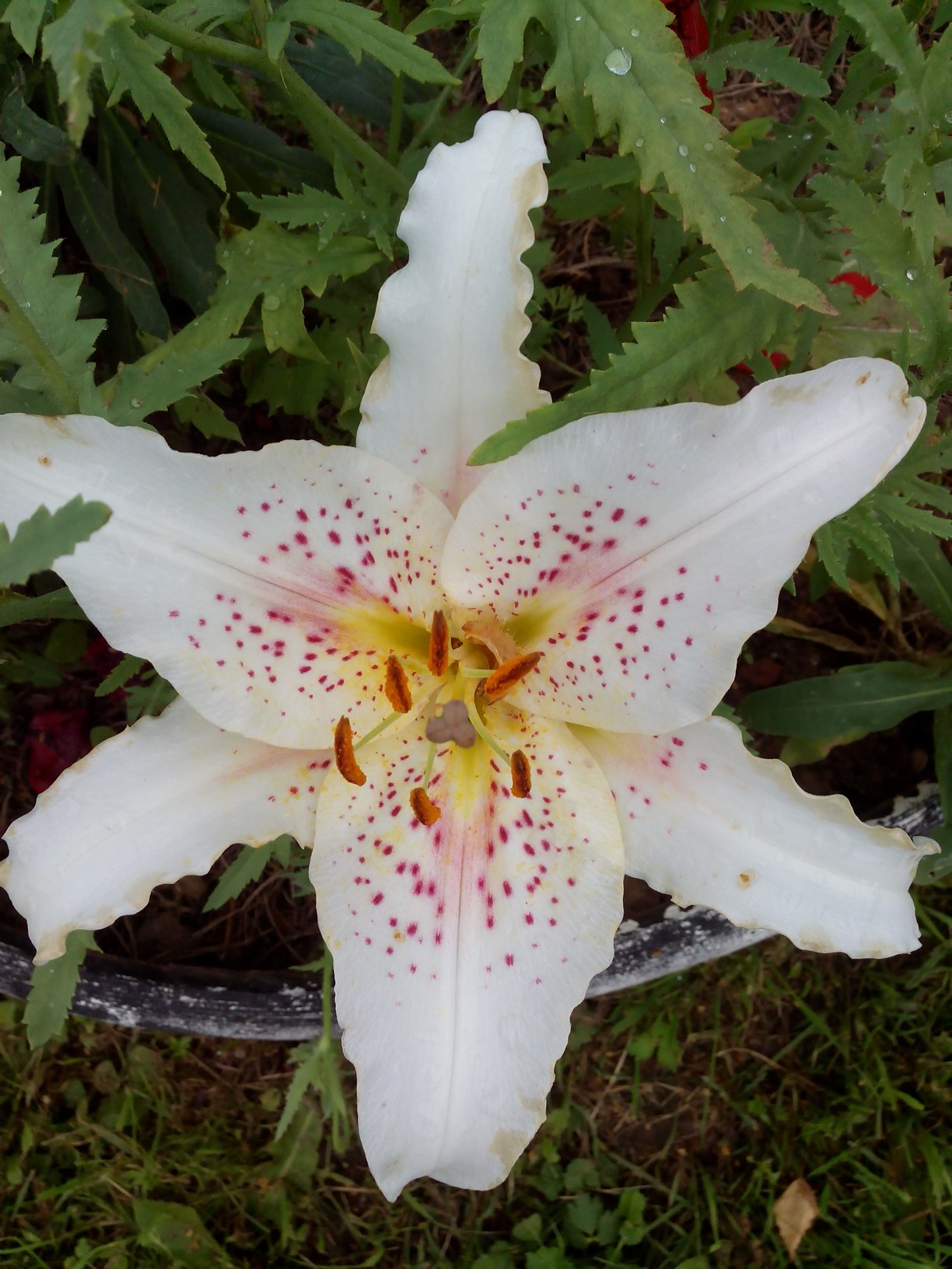 фотография из вКонтакте