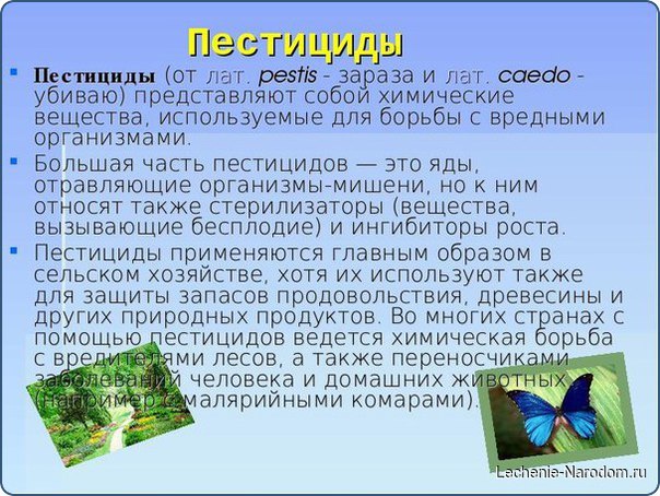 ТОП 10 продуктов таящих в себе пестициды.