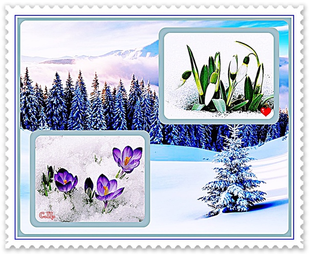 фотография из вКонтакте