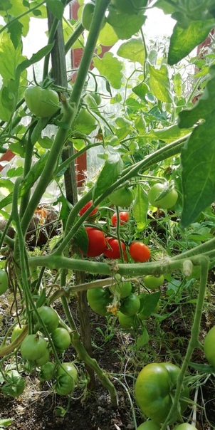 фотография из вКонтакте