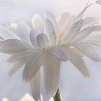 Мария Колмакова |