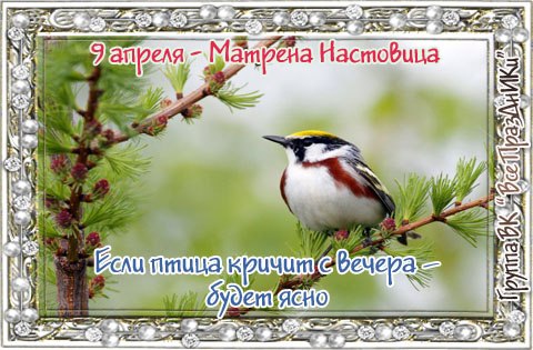 https://pp.userapi.com/c7003/v7003500/1ab0a/P05lA1aR53s.jpg