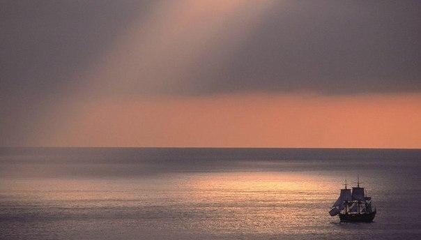 Что такое "зона комфорта"? – Telegraph