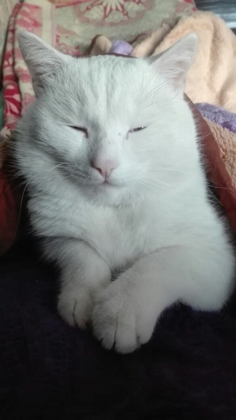 фотография из вКонтакте