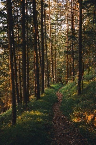 https://pp.userapi.com/c7003/v7003527/348d4/BZt1wrBdQB4.jpg