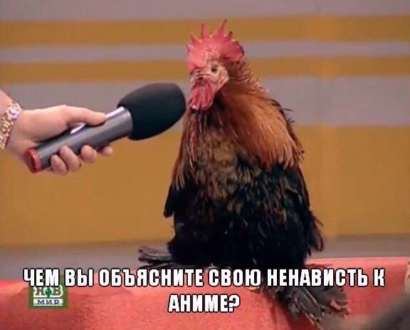 Q0TulyrOgrw.jpg