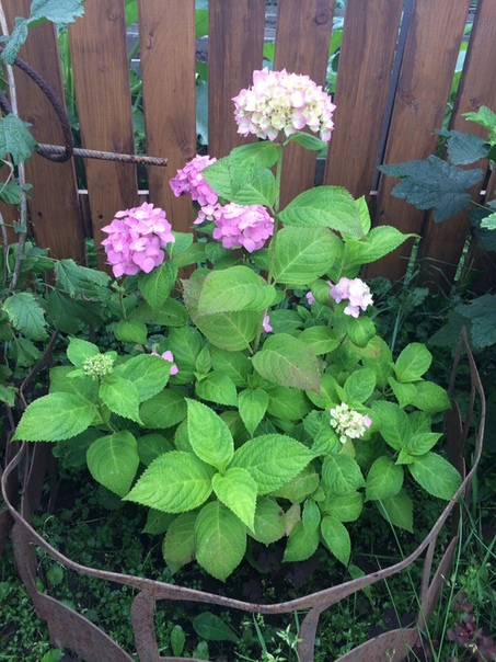 фотография из вКонтакте