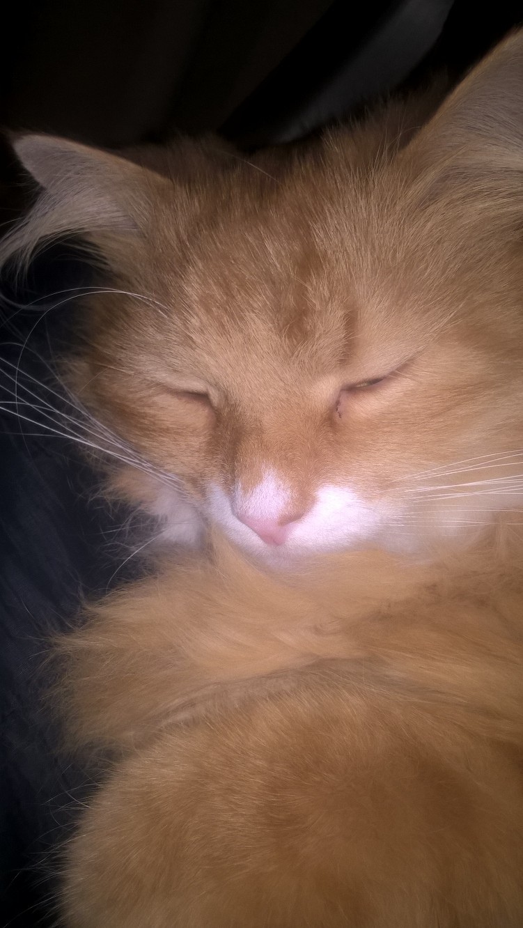 фотография из вКонтакте