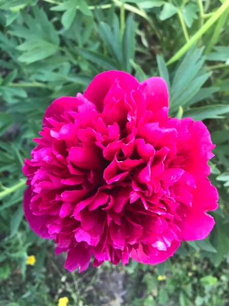 фотография из вКонтакте