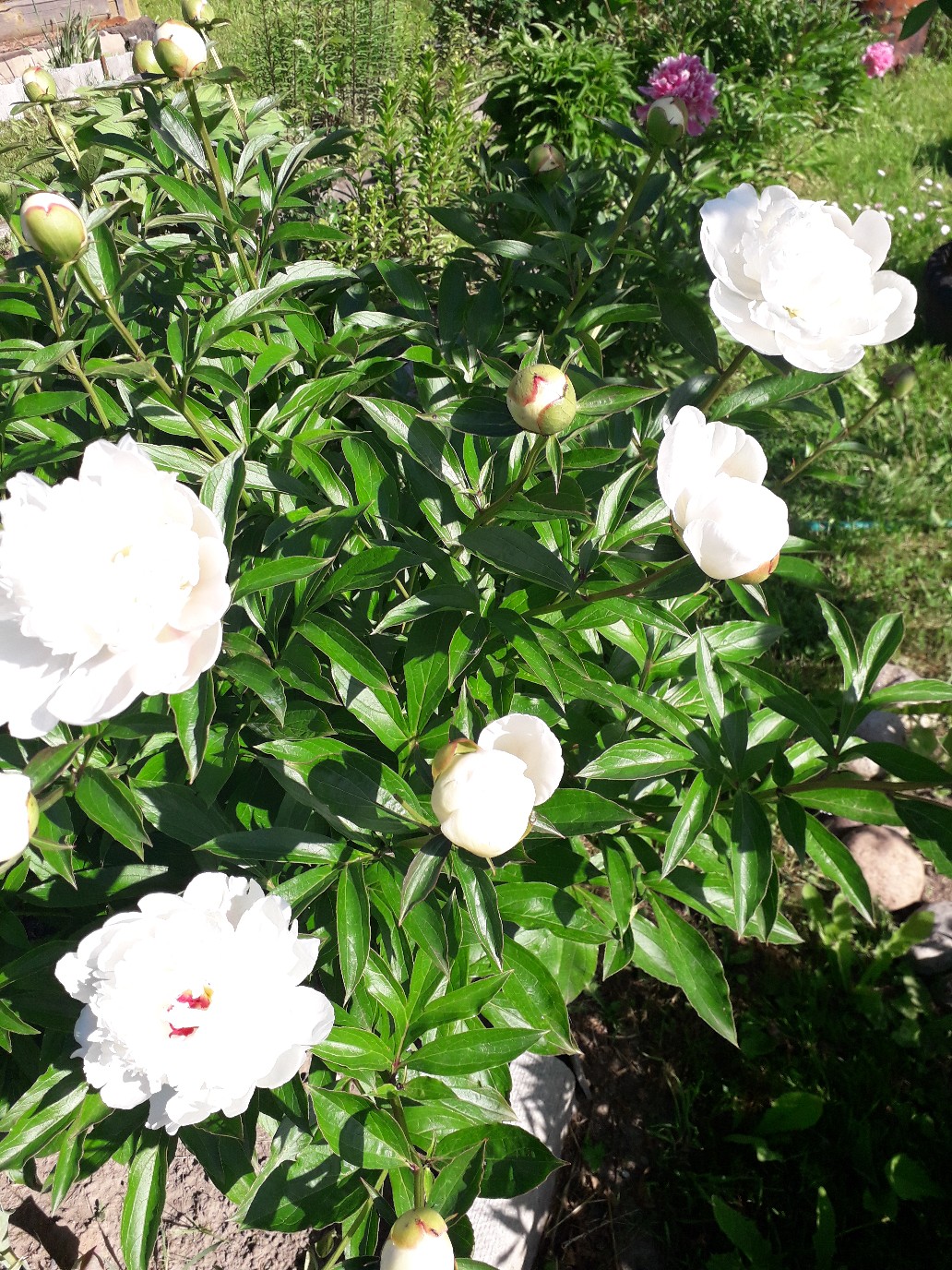 фотография из вКонтакте