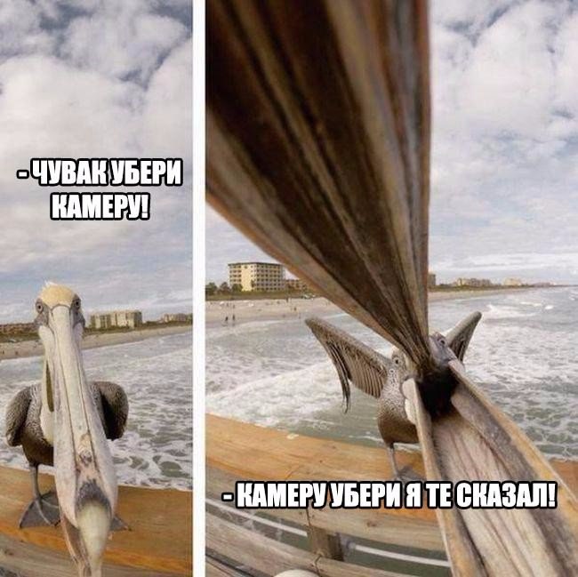 qUUjfFXa_go.jpg