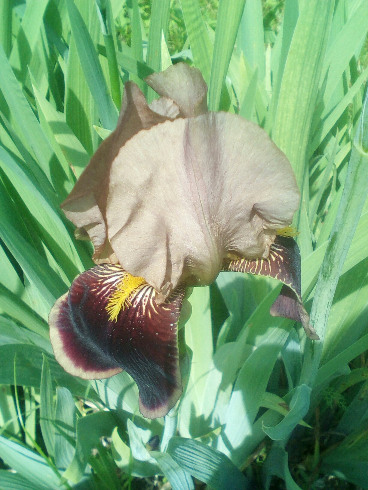 фотография из вКонтакте