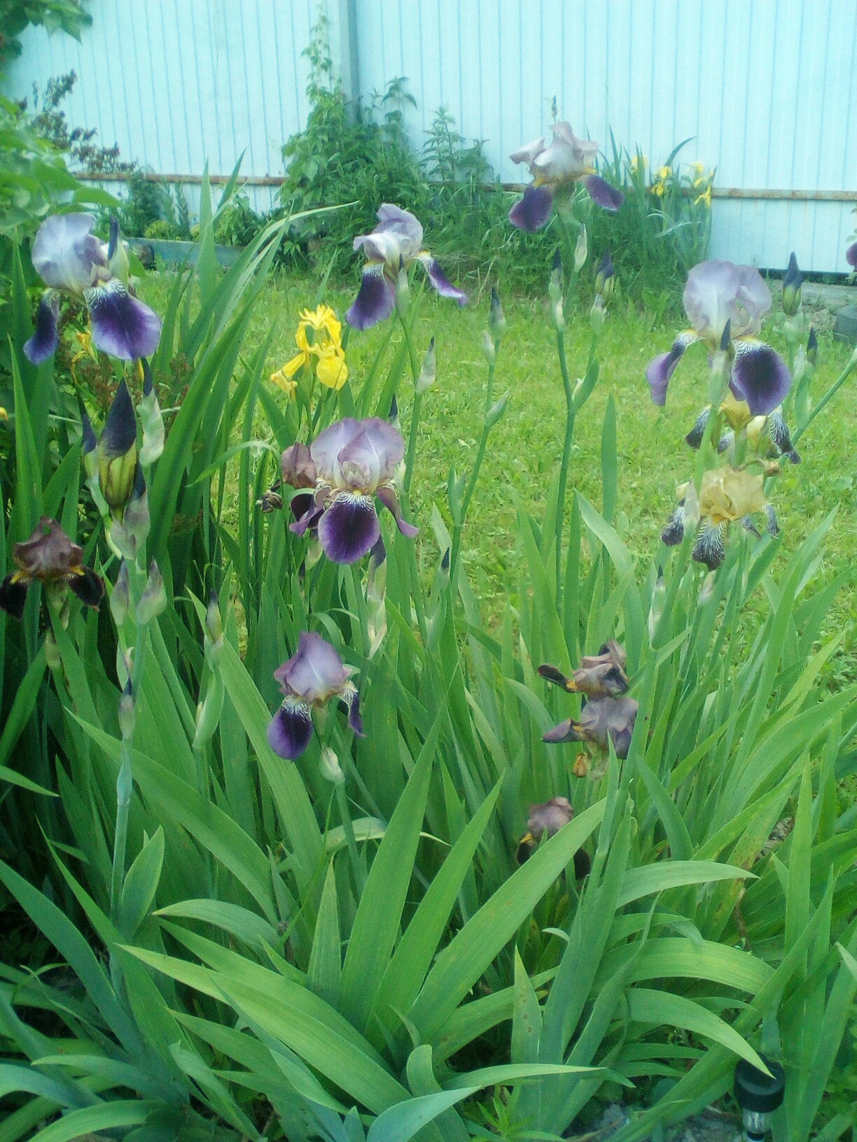 фотография из вКонтакте